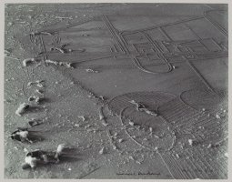 “Dust Breeding” (1920)