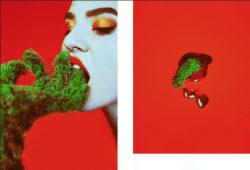 Rachel Baran, "the hand that feeds", 2015