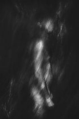 Silvia Grav "Strangers", 2017